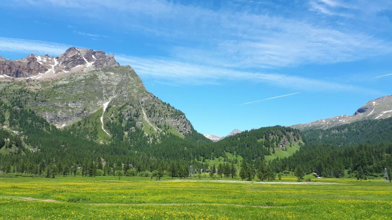 La Piana Appartamenti Alpe Devero Exteriör bild