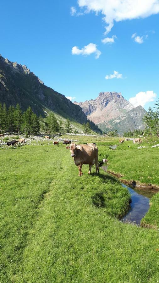 La Piana Appartamenti Alpe Devero Exteriör bild